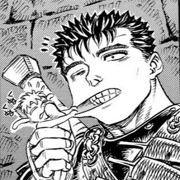 Seguidores Berserk